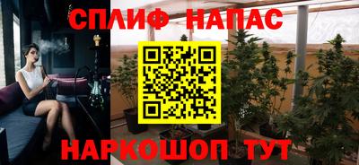 каннабис Гай