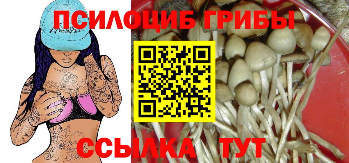 закладка  Псилоцибиновые грибы Magic Shrooms  Вход с VPN  Москва  Псилоцибиновые грибы Psilocybine cubensis 